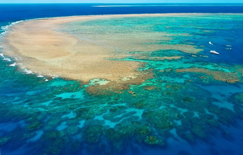دیواره بزرگ مرجانی ؛ بزرگترین صخره مرجانی در استرالیا | بیسان گشت