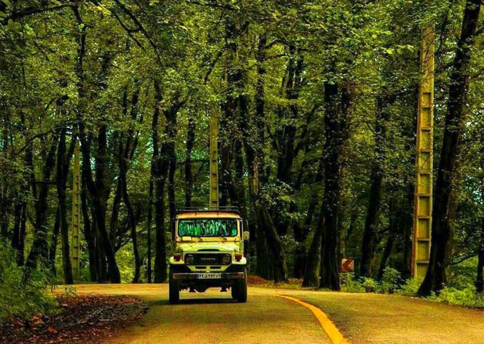 جنگل های ایران