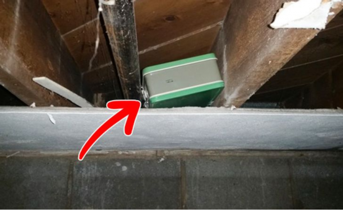 چمدان گمشده سبز